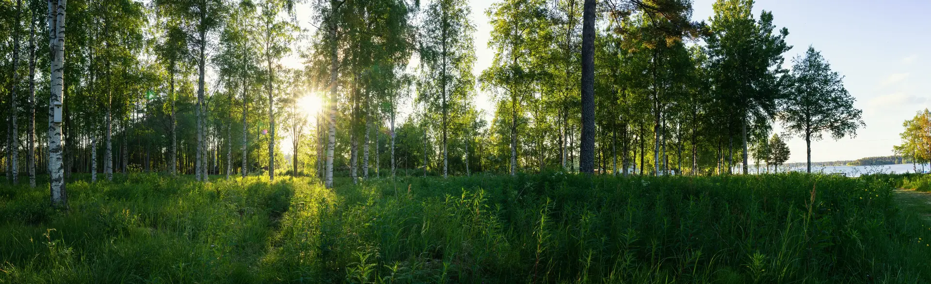Byta FTX-aggregat Ljusdal